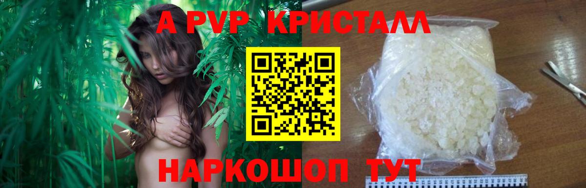 A PVP СК КРИС Кимры
