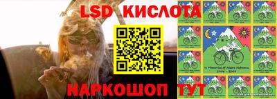 стаф Камышлов